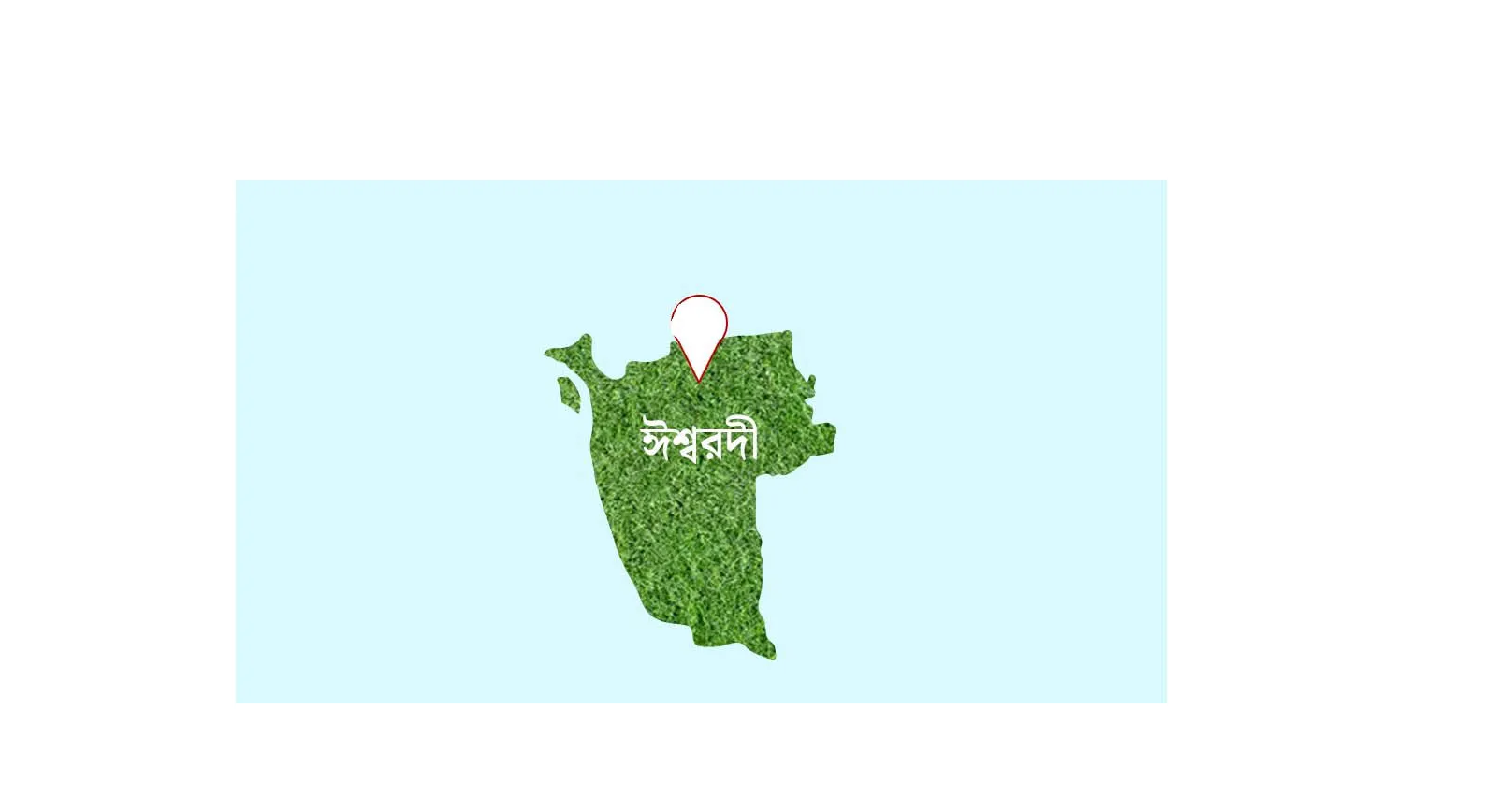 ঈশ্বরদীতে বিএনপি কর্মীকে কুপিয়ে জখম